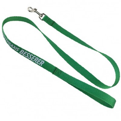 Pet products Nylon material dog leash with metal clip